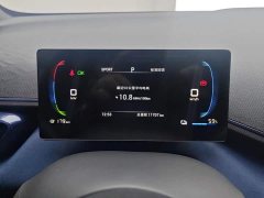 BYD Seagull Glory Edition 305km Vitality Version - ფოტო 14