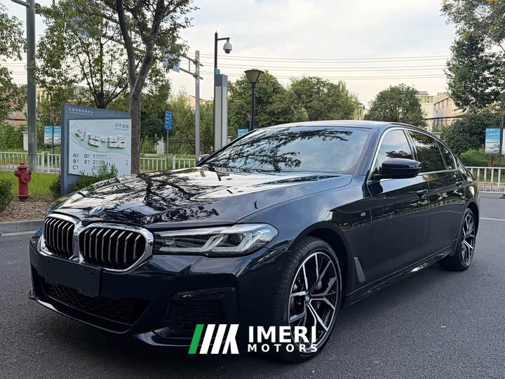 BMW 5 Series 530Li Luxury M Sport Package - ავტომობილი ჩინეთიდან