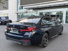 BMW 5 Series 530Li Luxury M Sport Package - ფოტო 19