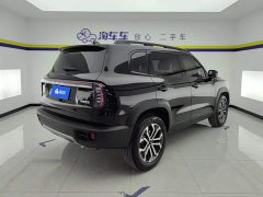 Great Wall Dachshund 1.5T DCT Border Collie Edition - ფოტო 3