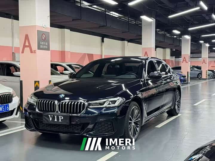 BMW 5 Series 530Li Premier M Sport Package - ავტომობილი ჩინეთიდან