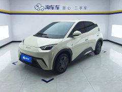 BYD Seagull Glory Edition 305km Vitality Version - ფოტო 1