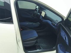BYD Seagull Glory Edition 305km Vitality Version - ფოტო 8
