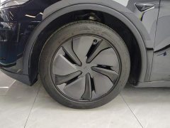 Tesla Model Y Rear-Wheel Drive - ფოტო 6