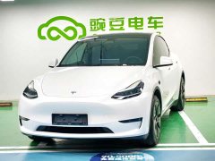 Tesla Model Y Long Range All-Wheel Drive - ფოტო 1