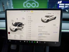 Tesla Model Y Long Range All-Wheel Drive - ფოტო 11