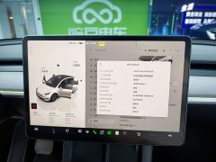Tesla Model Y Long Range All-Wheel Drive - ფოტო 12