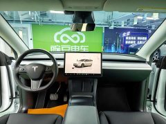 Tesla Model Y Long Range All-Wheel Drive - ფოტო 13