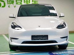 Tesla Model Y Long Range All-Wheel Drive - ფოტო 4