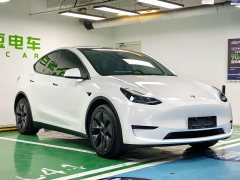 Tesla Model Y Long Range All-Wheel Drive - ფოტო 5