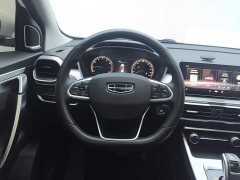 Geely Bingyue 2020 Facelift 240T DCT Hunter - ფოტო 15