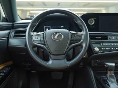 Lexus ES 2021 260 Excellence Edition - ფოტო 17