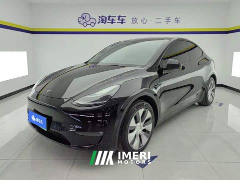 2021 Tesla Model Y Standard Range RWD - ავტომობილი ჩინეთიდან