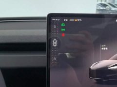 Tesla Model 3 Rear-Wheel Drive - ფოტო 16