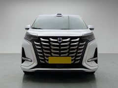 Denza BYD Denza D9 DM-i Smart Drive 1020 AWD Luxury - ფოტო 2