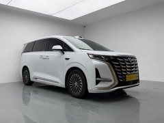 Denza BYD Denza D9 DM-i Smart Drive 1020 AWD Luxury - ფოტო 3