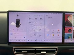 Li Auto L6 Max - ფოტო 13