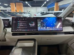 Great Wall WEY Shanshan New Energy Four-Wheel Drive Shanshan 9 - ფოტო 12