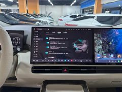 Great Wall WEY Shanshan New Energy Four-Wheel Drive Shanshan 9 - ფოტო 13