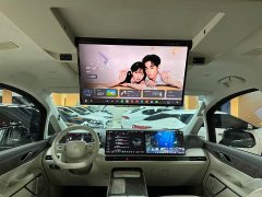 Great Wall WEY Shanshan New Energy Four-Wheel Drive Shanshan 9 - ფოტო 7