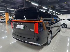 Great Wall WEY Shanshan New Energy Four-Wheel Drive Shanshan 9 - ფოტო 9