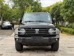 Tank 300 2.0T Gasoline Conqueror - ფოტო 2