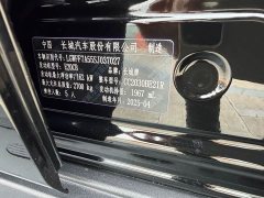 Tank 300 2.0T Gasoline Conqueror - ფოტო 20