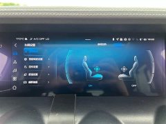 Tank 300 2023 City Edition 2.0T Stylish - ფოტო 10