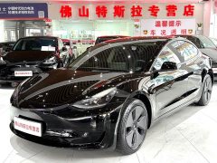 Tesla Model 3 Standard Range RWD Upgrade 3D6 - ფოტო 1
