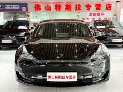 Tesla Model 3 Standard Range RWD Upgrade 3D6 - ფოტო 3