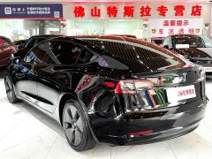 Tesla Model 3 Standard Range RWD Upgrade 3D6 - ფოტო 5