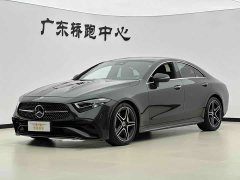 Mercedes-Benz CLS 300 Luxury - ფოტო 1