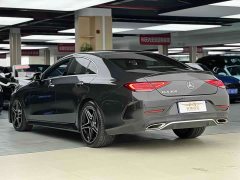 Mercedes-Benz CLS 300 Luxury - ფოტო 8