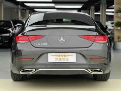 Mercedes-Benz CLS 300 Luxury - ფოტო 9