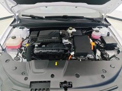 BYD Qin PLUS 2024 Glory Edition DM-i 55KM Leading - ფოტო 10