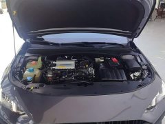 Trumpchi Leopard 270T DCT J15 - ფოტო 8