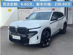 BMW XM 2023 Base - ფოტო 1