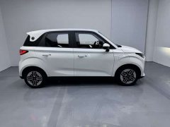 Chery Domi 305km Comfort Edition - ფოტო 8