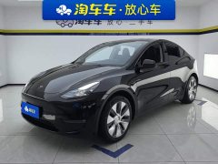 Tesla Model Y Long Range All-Wheel Drive - ფოტო 1