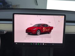 Tesla Model Y Long Range All-Wheel Drive - ფოტო 13
