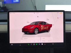 Tesla Model Y Long Range All-Wheel Drive - ფოტო 14
