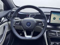 BYD Qin Plus 2021 DM-i 55KM Luxury - ფოტო 13
