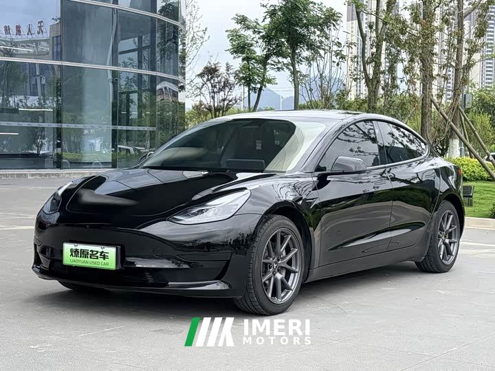 Tesla Model 3 Rear-Wheel Drive