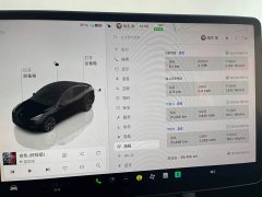 Tesla Model Y 2023 Rear-Wheel Drive - ფოტო 13