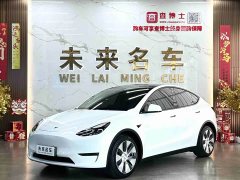 Tesla Model Y Long Range All-Wheel Drive 3D7 - ფოტო 1