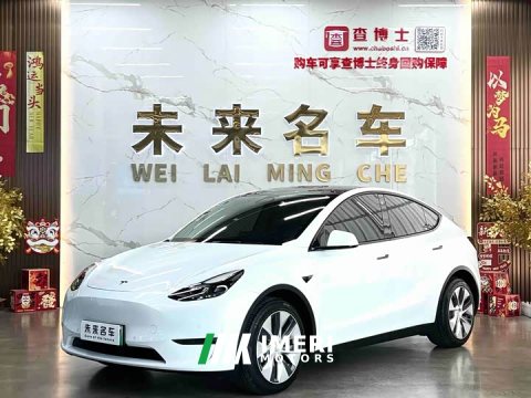 2021 Tesla Model Y Long Range All-Wheel Drive 3D7 - ავტომობილი ჩინეთიდან