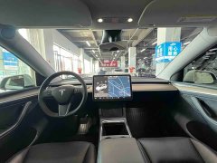 Tesla Model Y Long Range All-Wheel Drive 3D7 - ფოტო 12