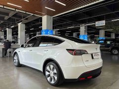 Tesla Model Y Long Range All-Wheel Drive 3D7 - ფოტო 14