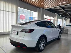 Tesla Model Y Long Range All-Wheel Drive 3D7 - ფოტო 16