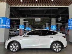 Tesla Model Y Long Range All-Wheel Drive 3D7 - ფოტო 17